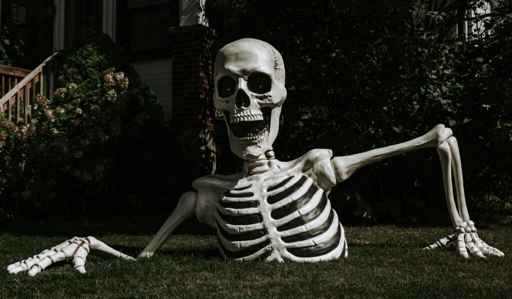 DIY skeleton decor