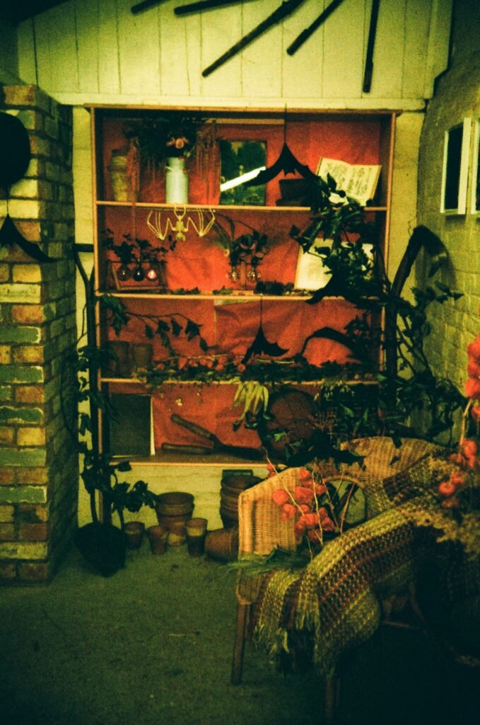 Halloween Themes 2026: Best Spooky Ideas Vintage theme Halloween shelf decor with bats, spiders, and warm tones